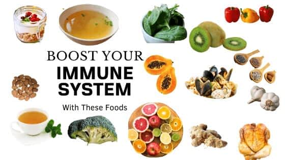 15 Best Immune Boosting Foods & Supplements - Lifestyle Blog
